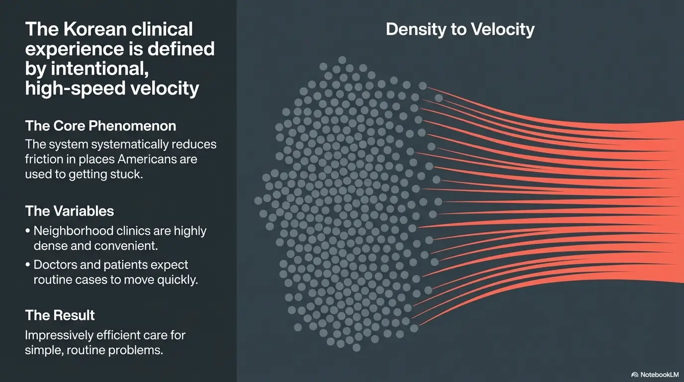 why Korean clinics are so fast