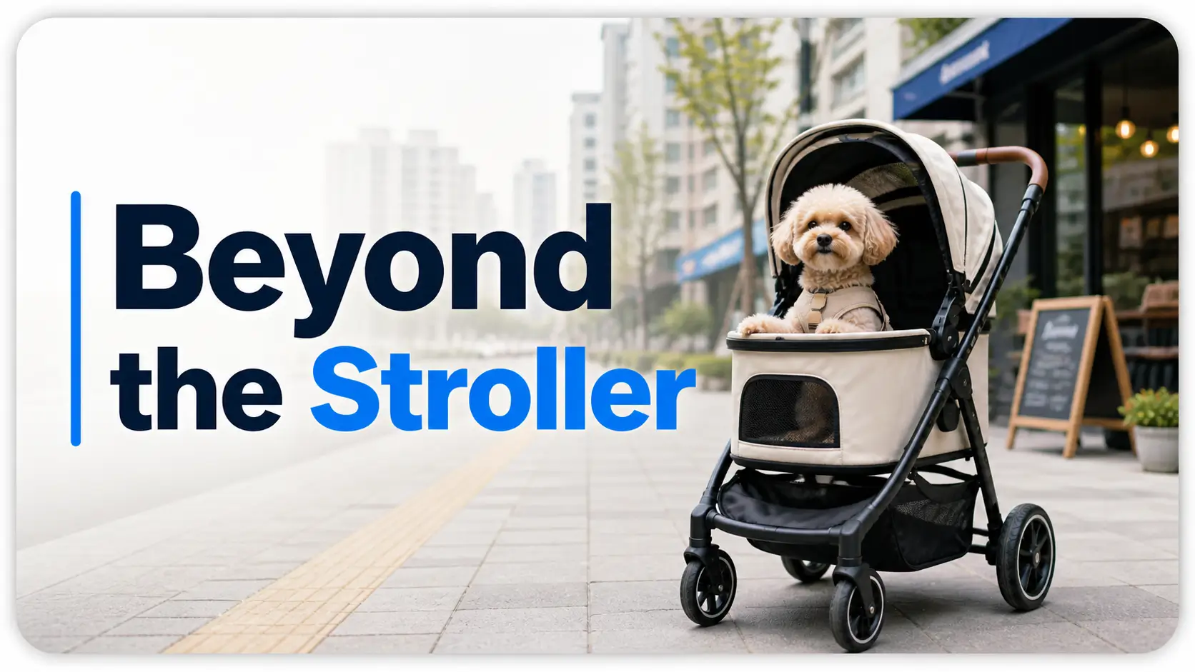 Korean pet culture